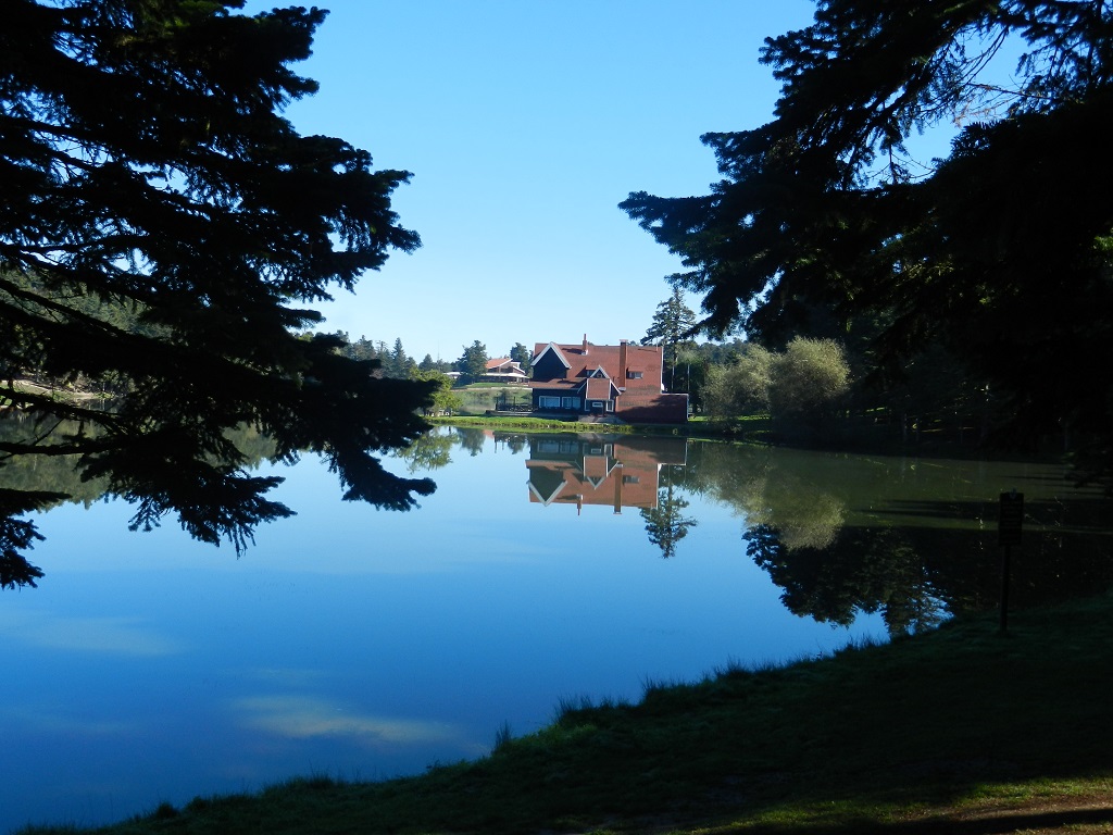 Listeleme kapak resmi